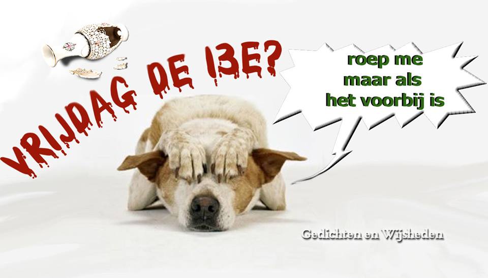 Vrijdag de 13e – Aandacht doet goed